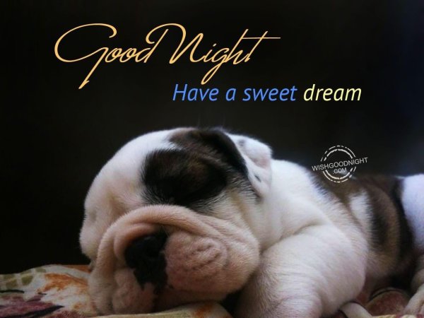 английский бульдог