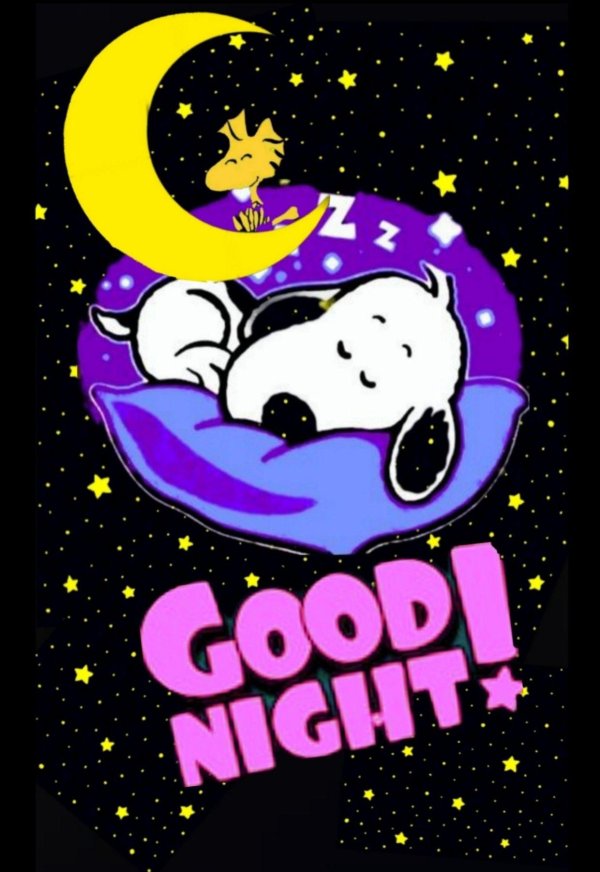 goodnight snoopy