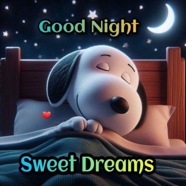 сладкие сны