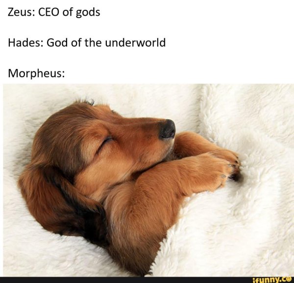 спящие щенки