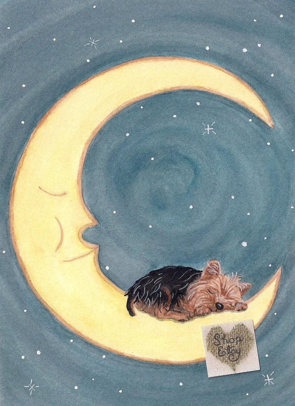 иллюстрации милые