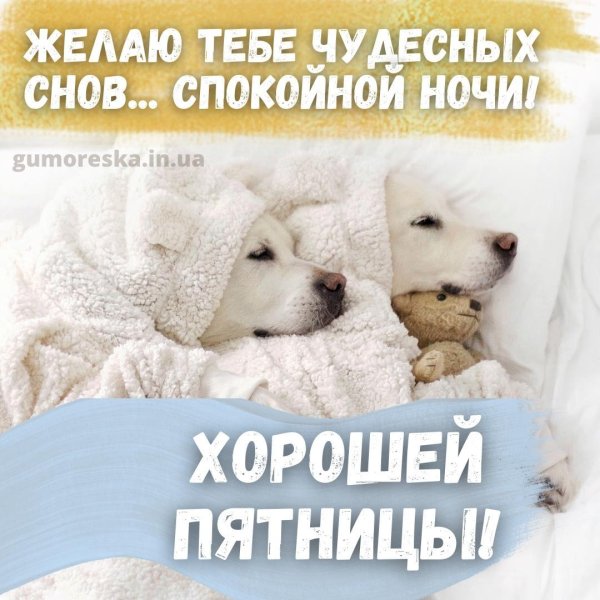 ночь пятницы