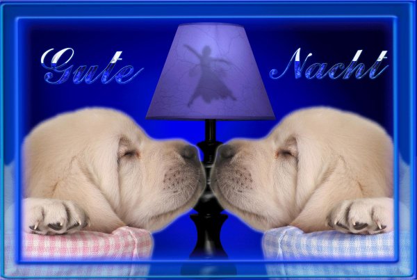 gute nacht freunde