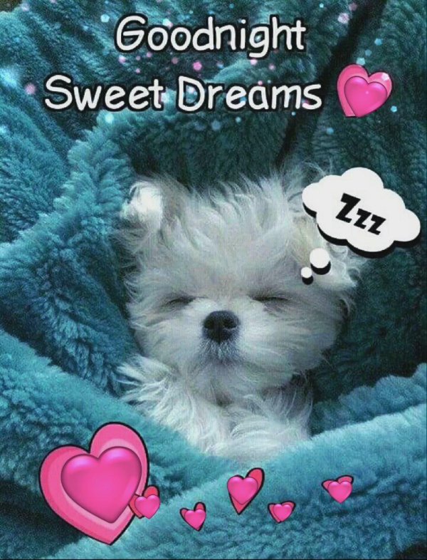 buenas noches bonitas