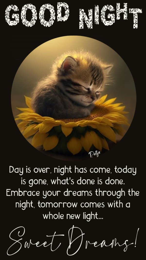 goodnight and sweet dreams