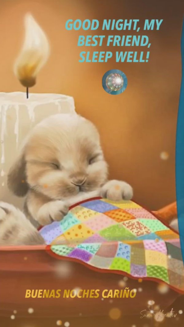 милые зайцы