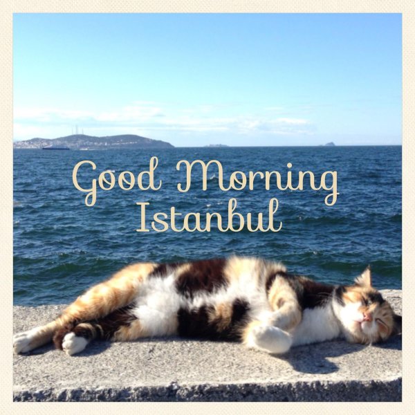 с добрым утром турция