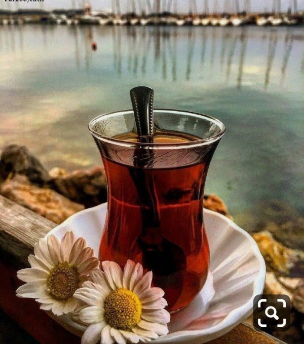ромашка чай по турецки