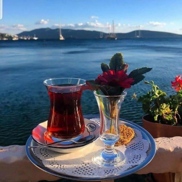 турецкие чаи