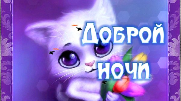 добрая ночь