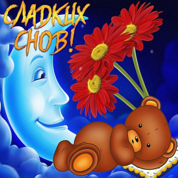 спокойная ночи