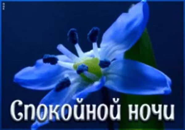 ночи спокойной