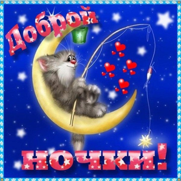 коты алексея долотова спокойной ночи