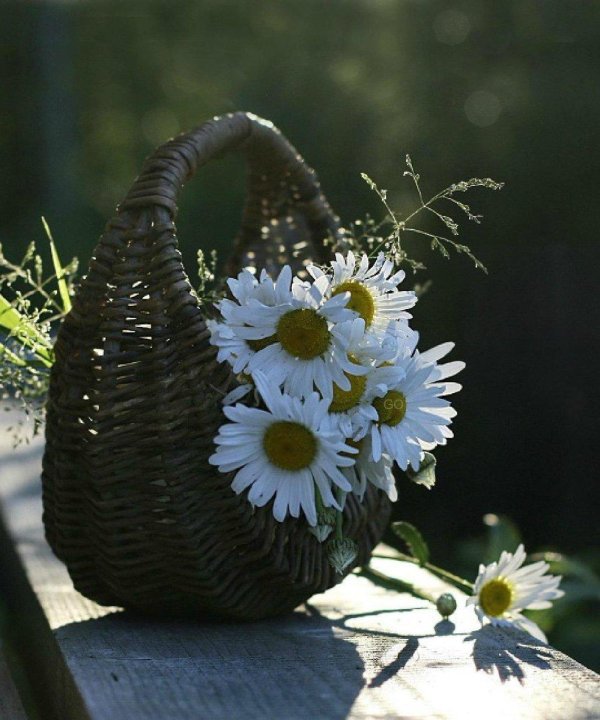 мгновение лето