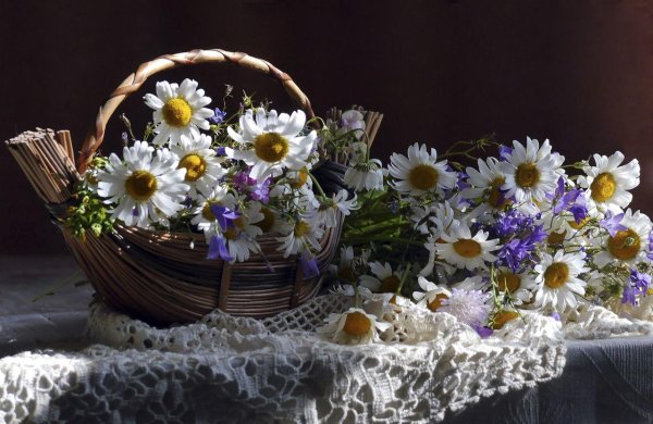 полевые цветы в корзинке