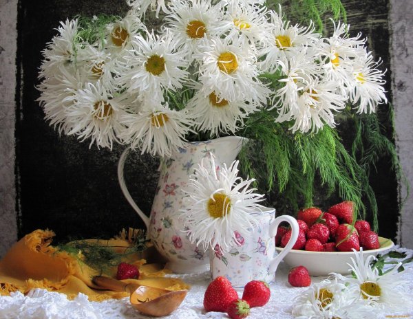 марина филатова фотонатюрморты ромашки