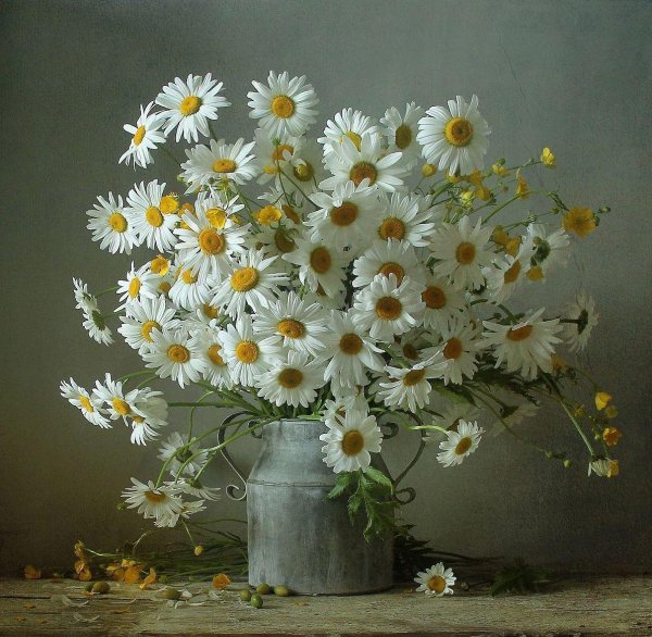 марина филатова фотонатюрморты