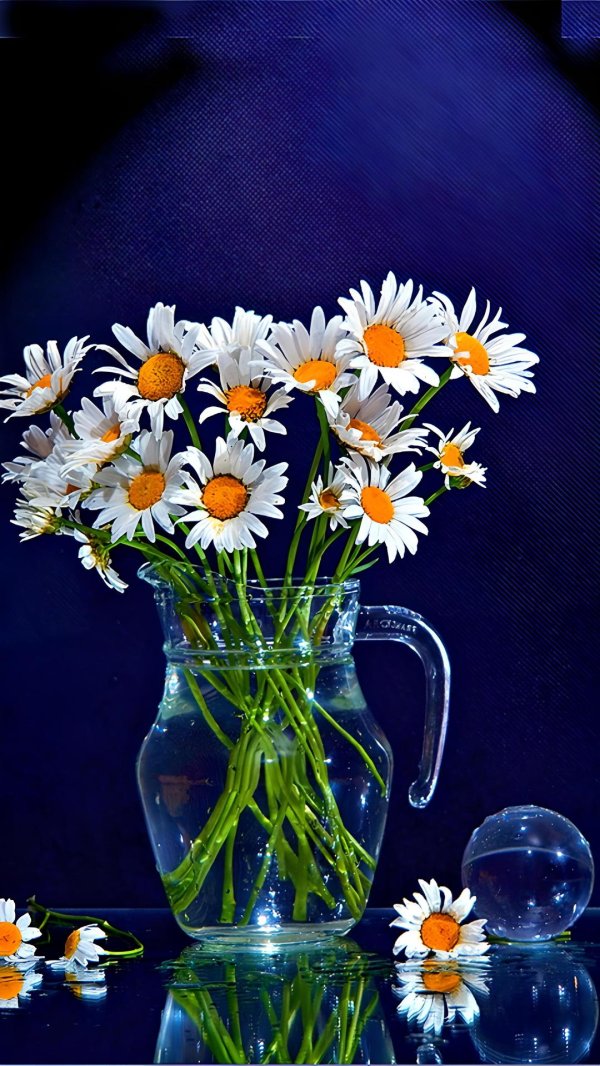 ромашка в вазе