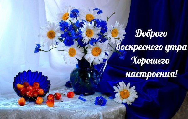 доброе утро васильки и ромашки