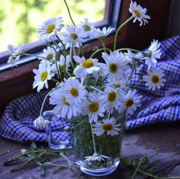 букет ромашек