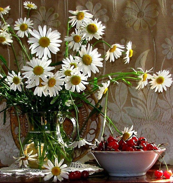 Добрый вечер ромашки