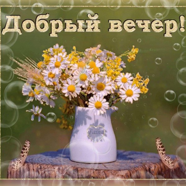 летнего вечера доброго