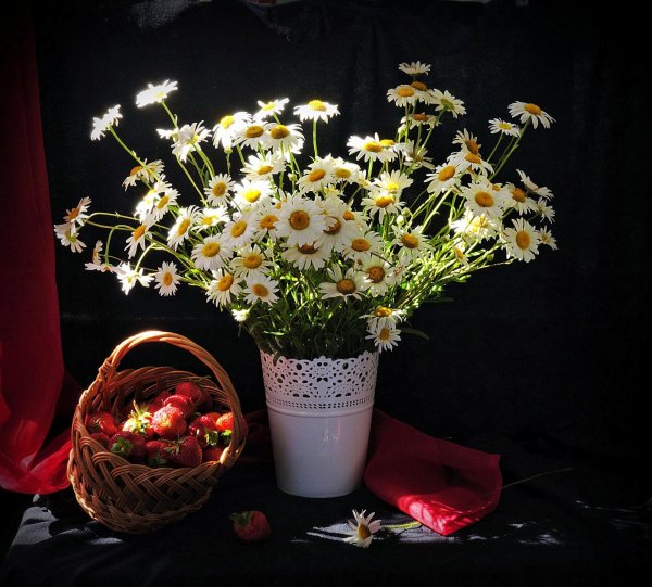 маргарита епишина натюрморты