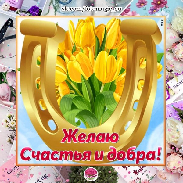 счастье и удача