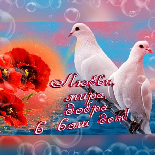 желаю мира и добра