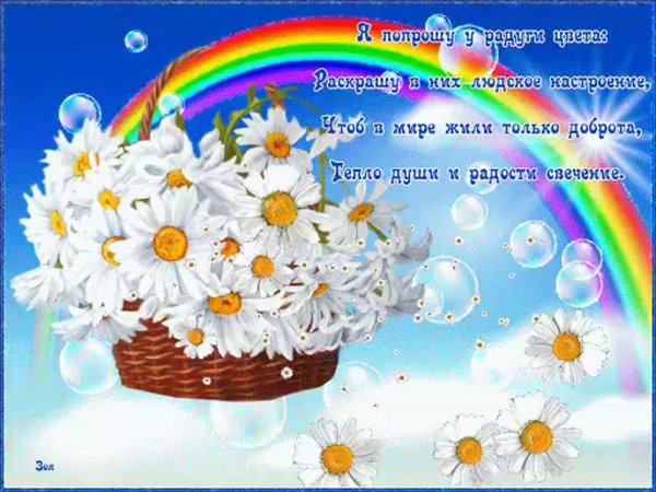 ромашка радуга