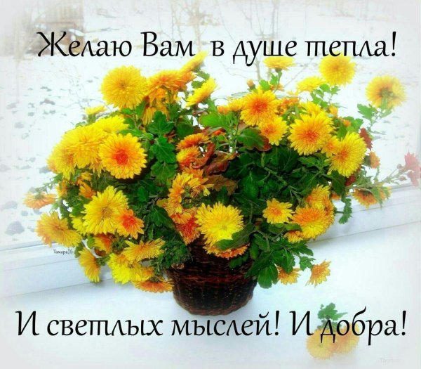 душевного тепла