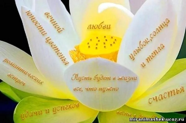 пожелания счастья