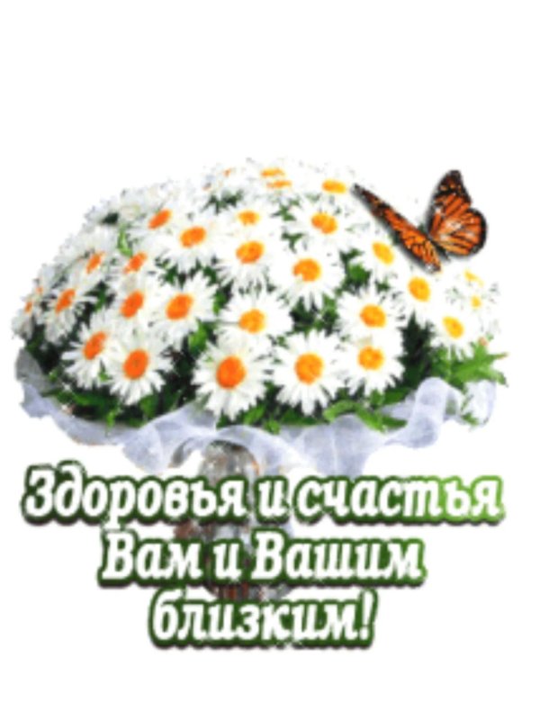 букет ромашек