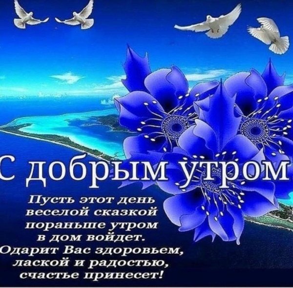 добрый день доброе утро