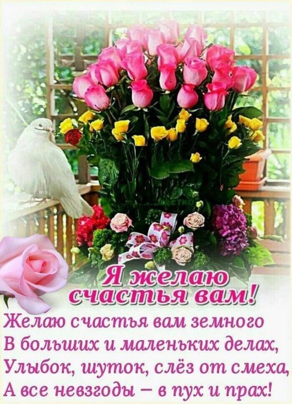 поздравительная открытка