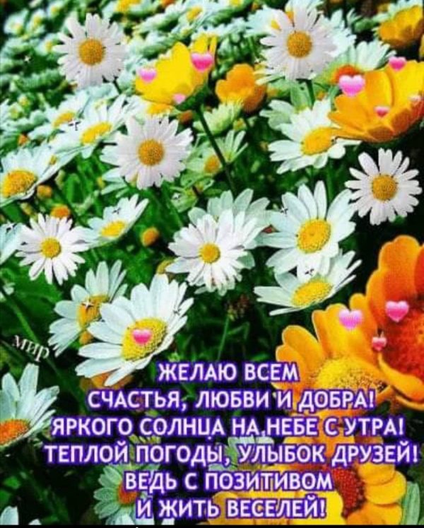 доброе августовское утро