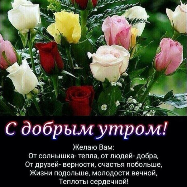 с добрым утром красивые с пожеланиями
