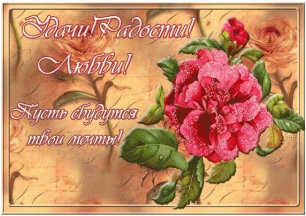 красивое поздравление