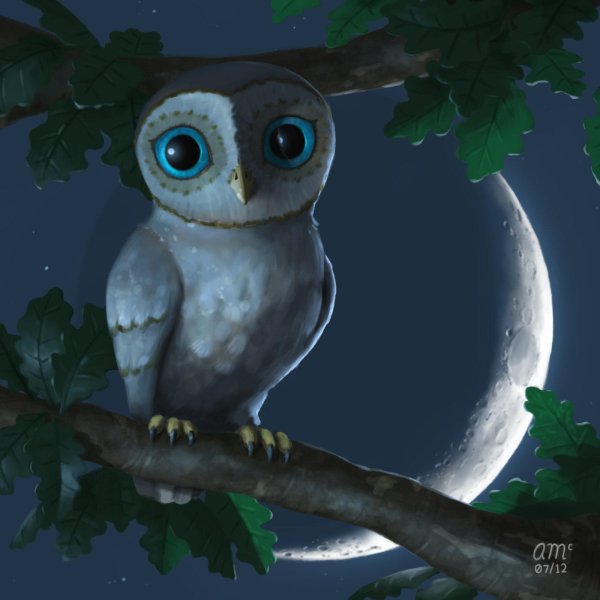 совы мультяшные