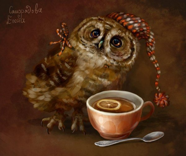 елена саморядова совы