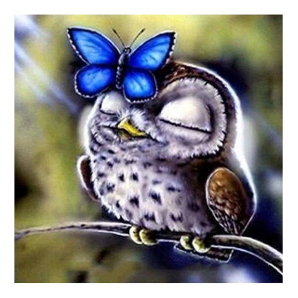 довольный совёнок