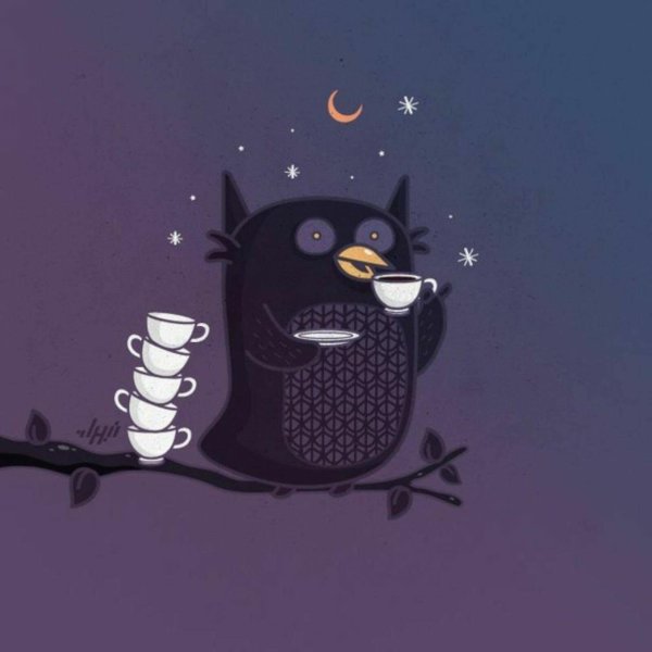 Добрый вечер сова