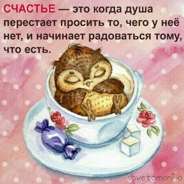 инга пальцер совы