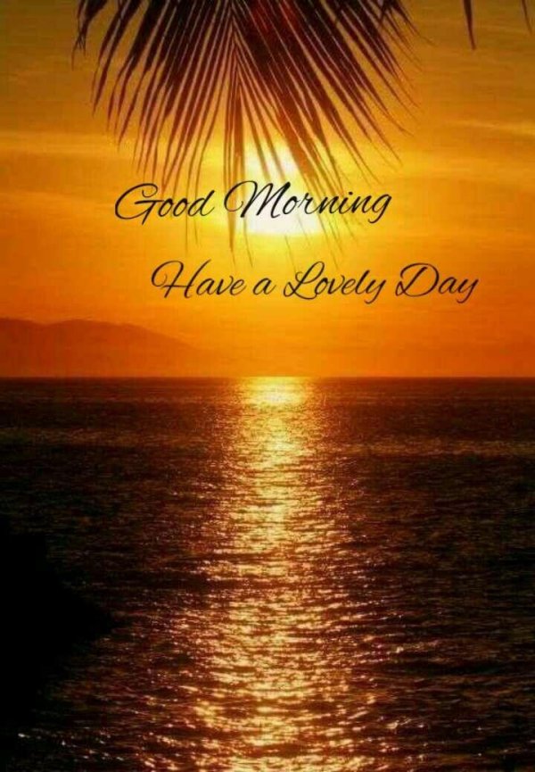 солнечное утро