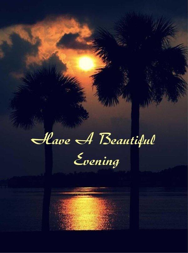 доброй ночи пальмы