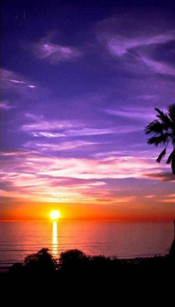 фиолетовые закаты