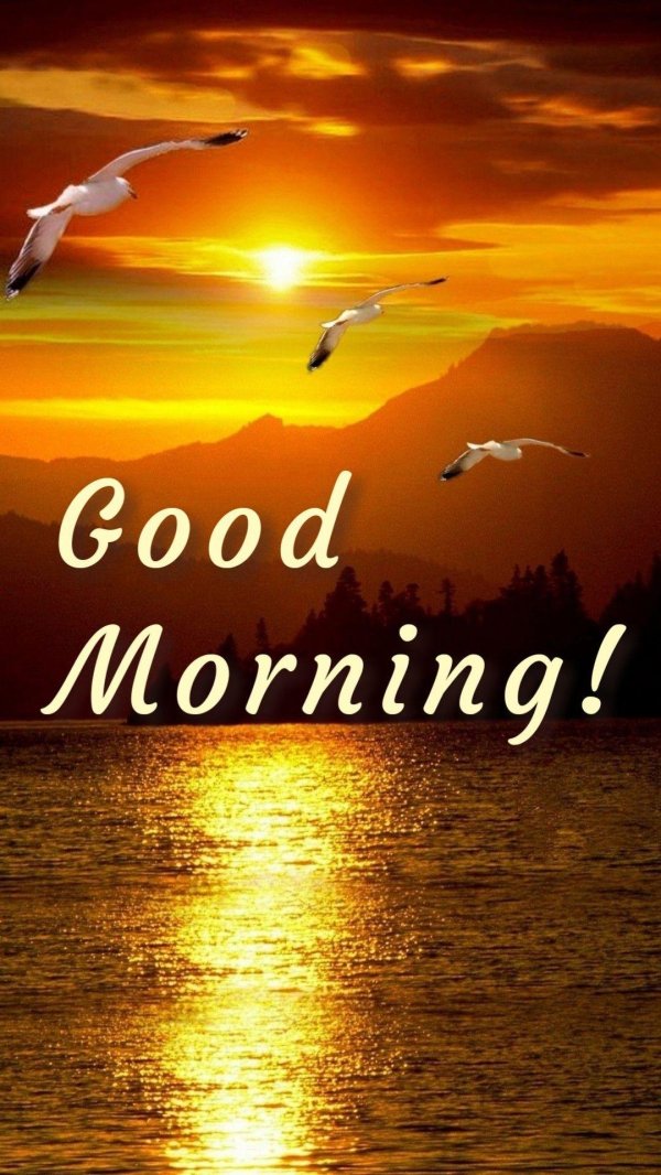 good morning beautiful