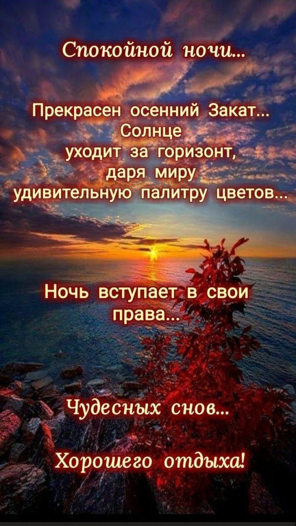 спокойная ночи