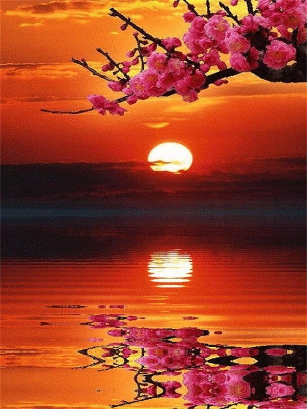 пейзажи красивые