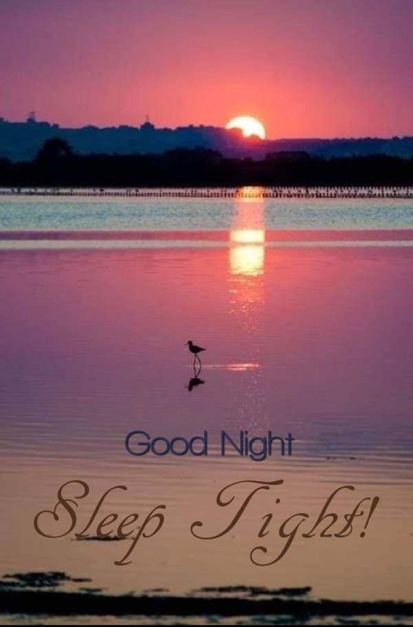 розовые закаты